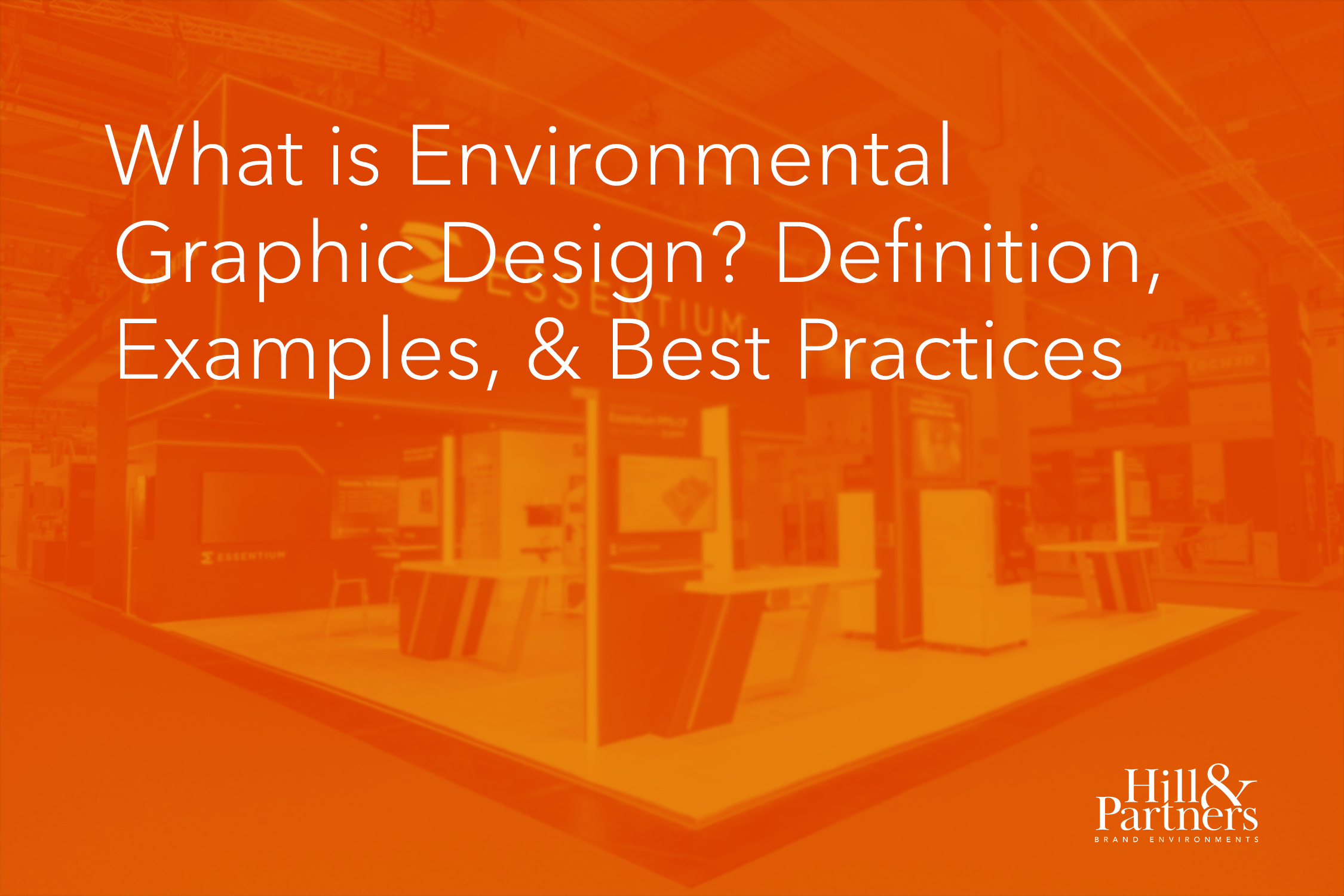 What Is Environmental Graphic Design? Definition, Examples, & Best Practices